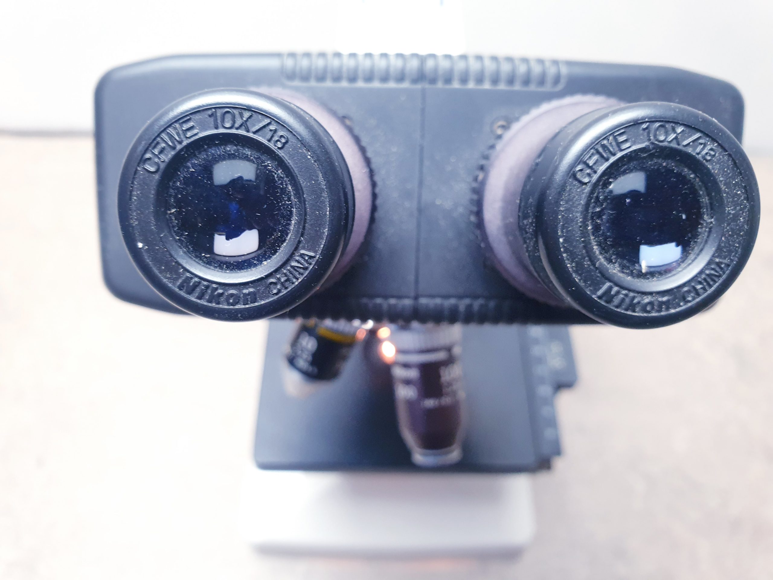 NIKON SE Mikroskop – Bild 11