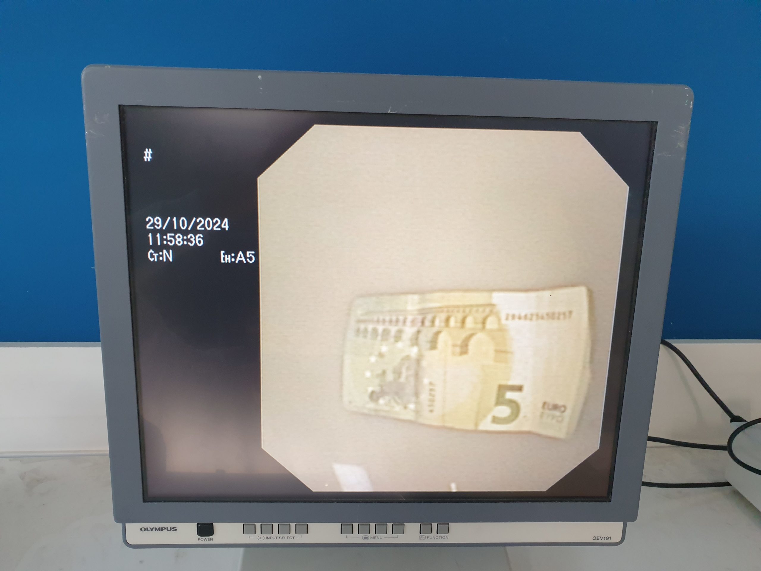 Olympus BF-1T160 Bronchoskop - – Bild 15