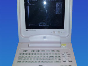 Ultraschallgerät Mindray DP-3300 s/w mit 1 Vaginalsonde