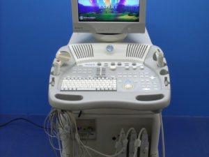 GE VIVID 3 Inkl 03 Probes , EKG Modul