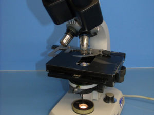 Carl Zeiss  47 30 14-9901 Mikroskop